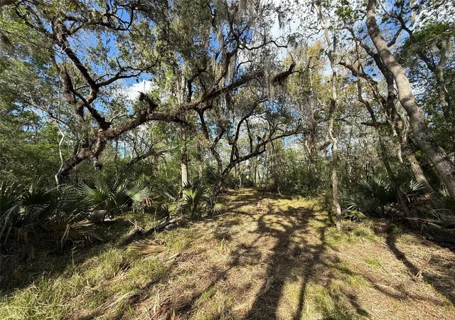 5th image of Tract 2 County Road 332, Sweeny, TX 77480 | MLS# 65027826