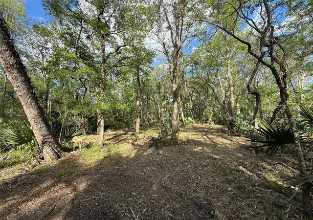 8th image of Tract 2 County Road 332, Sweeny, TX 77480 | MLS# 65027826