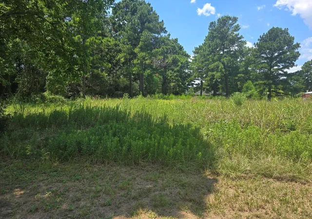 10th image of 00 Rudolph Road Road, Tomball, TX 77375 | MLS# 51600785