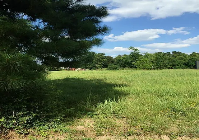 2nd image of 00 Rudolph Road Road, Tomball, TX 77375 | MLS# 51600785