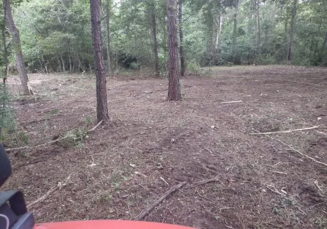 Photo 2 of Land for sale at 3035 Old Colony Rd, Huntsville, TX 77320 | MLS# 29290964 | Listing updated on 2026-08-10