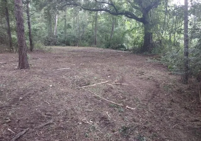 Photo 3 of Land for sale at 3035 Old Colony Rd, Huntsville, TX 77320 | MLS# 29290964 | Listing updated on 2026-08-10