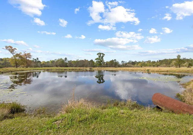 Homes for sale in Warren, TX | 1938 County Road 1520, Warren, TX 77664 | MLS# 20987943