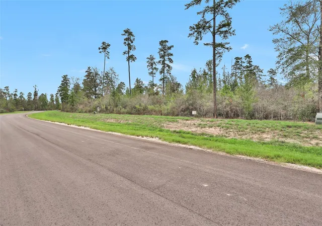 Homes for sale in New Waverly, TX | 168 Great Plains Wy, New Waverly, TX 77358 | MLS# 88388557