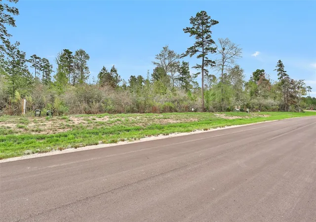 Photo 3 of Land for sale at 168 Great Plains Way, New Waverly, TX 77358 | MLS# 88388557 | Listing updated on 2026-08-15