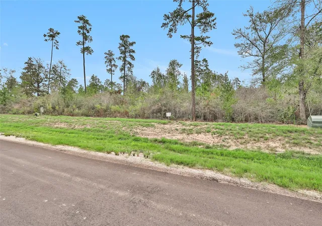 Photo 3 of Land for sale at 168 Great Plains Way, New Waverly, TX 77358 | MLS# 88388557 | Listing updated on 2026-08-15