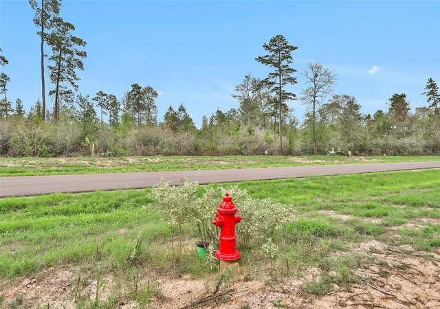 Photo 4 of Land for sale at 168 Great Plains Way, New Waverly, TX 77358 | MLS# 88388557 | Listing updated on 2026-08-15