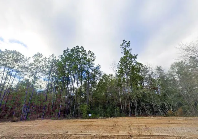 Photo 4 of Land for sale at 11646 Grand N Rd, Willis, TX 77358 | MLS# 17578263 | Listing updated on 2026-09-14