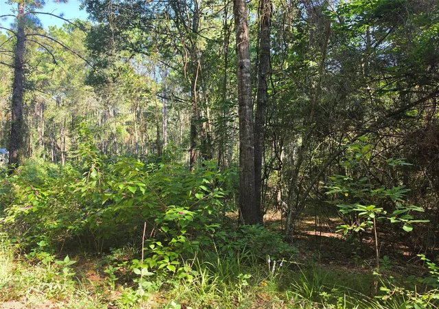 8th image of 4863 Hickory Hill Rd, Navasota, TX 77868 | MLS# 7491898