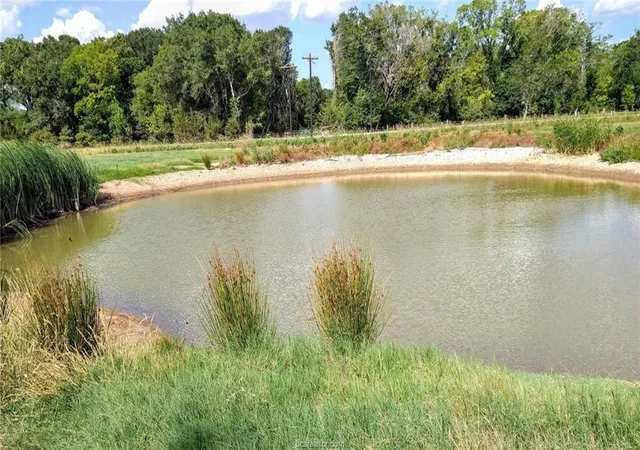 1st image of 5997 County Road 308, Caldwell, TX 77836 | MLS# 56197887