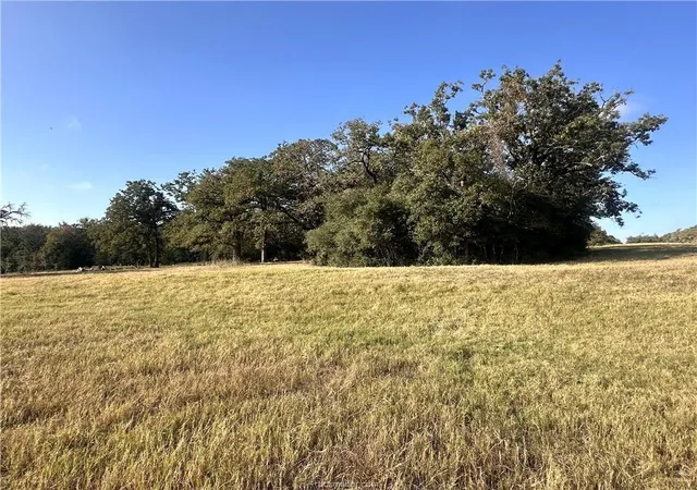 21st image of 5997 County Road 308, Caldwell, TX 77836 | MLS# 56197887