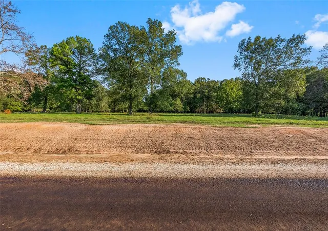 1st image of 6034 Alans Memorial Ln, New Waverly, TX 77358 | MLS# 33166699