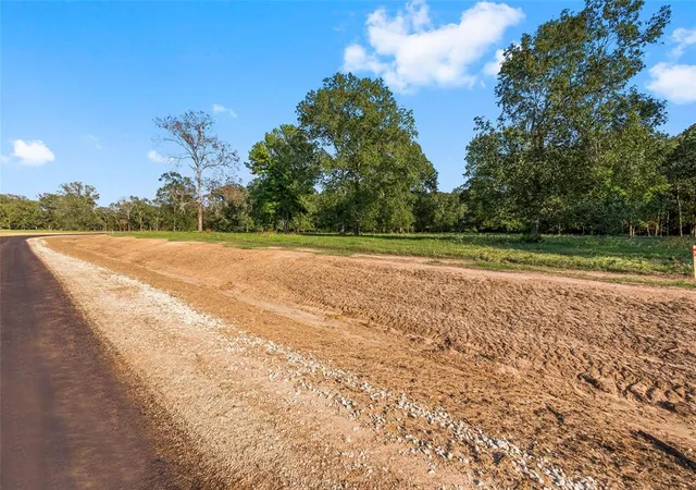 6th image of 6034 Alans Memorial Ln, New Waverly, TX 77358 | MLS# 33166699