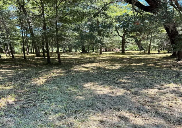 Photo 3 of Land for sale at 000 Sour Lake Cir, Cleveland, TX 77327 | MLS# 82154833 | Listing updated on 2026-06-19