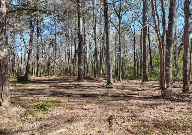 Photo 4 of Land for sale at 54 Ranch Acres Dr, Huntsville, TX 77340 | MLS# 66788998 | Listing updated on 2026-08-20