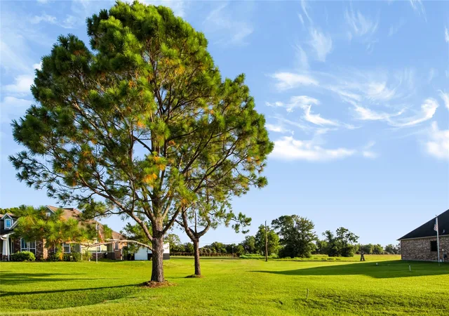 Photo 3 of Land for sale at 000 Penny Ln, Santa Fe, TX 77510 | MLS# 83161684 | Listing updated on 2026-07-23