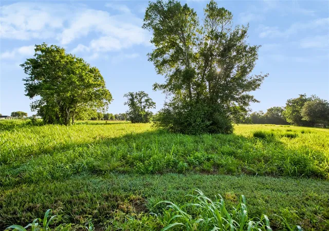 Photo 4 of Land for sale at 000 Penny Ln, Santa Fe, TX 77510 | MLS# 83161684 | Listing updated on 2026-07-23