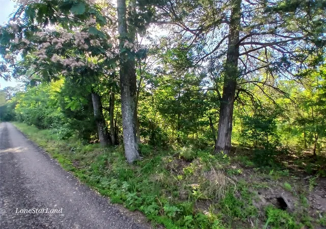 Homes for sale in Pittsburg, TX | 475 County Road 4421, Pittsburg, TX 75686 | MLS# 35479394