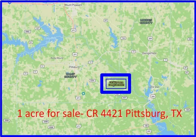 Homes for sale in Pittsburg, TX | 475 County Road 4421, Pittsburg, TX 75686 | MLS# 35479394