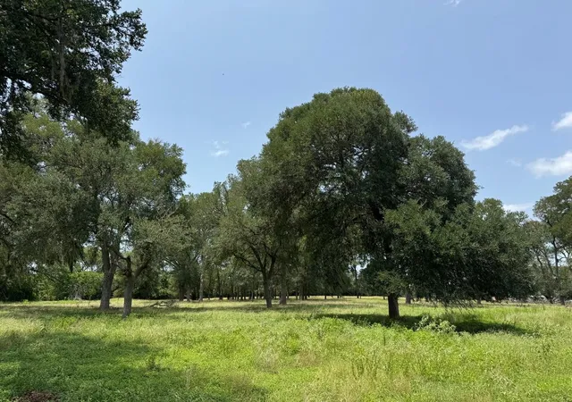 Homes for sale in Round Top, TX | 220 Bybee Rd, Round Top, TX 78954 | MLS# 76970918