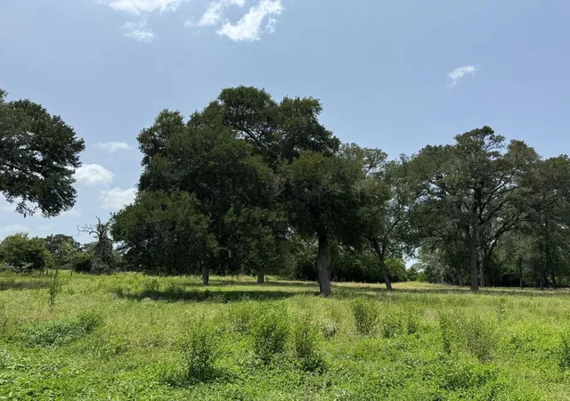 Homes for sale in Round Top, TX | 220 Bybee Rd, Round Top, TX 78954 | MLS# 76970918