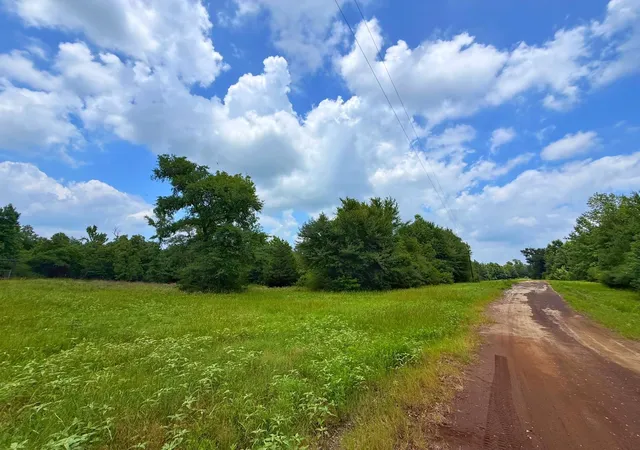 Homes for sale in Centerville, TX | Tbd Cr 2011, Centerville, TX 75833 | MLS# 83757516