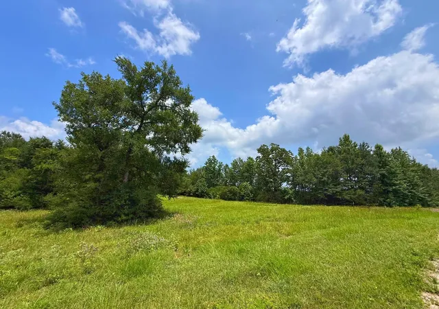 Homes for sale in Centerville, TX | Tbd Cr 2011, Centerville, TX 75833 | MLS# 83757516