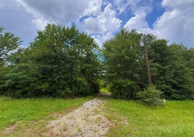Homes for sale in Centerville, TX | Tbd Cr 2011, Centerville, TX 75833 | MLS# 83757516