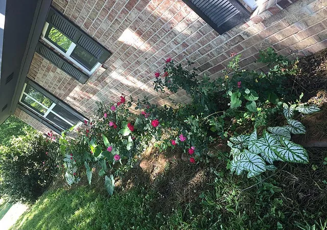 Photo 3 of Single family home for sale at 268 N Mt Mariah, Montgomery, TX 77356 | MLS# 84795955 | Listing updated on 2026-05-24