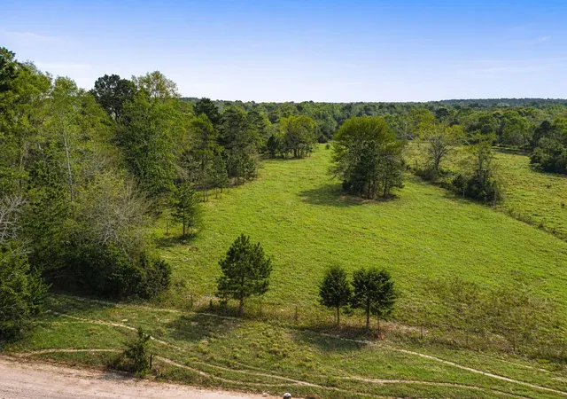 2nd image of Tbd Denson Allen Rd, Coldspring, TX 77331 | MLS# 2844404