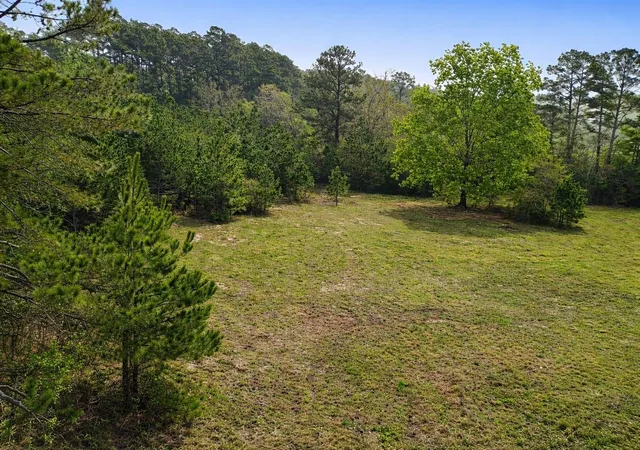 3rd image of Tbd Denson Allen Rd, Coldspring, TX 77331 | MLS# 2844404