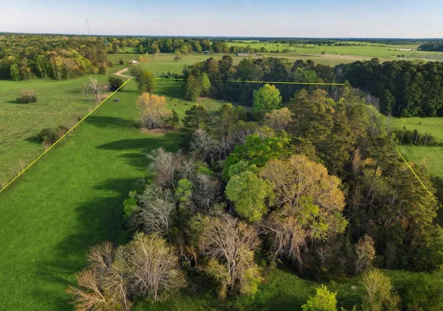 4th image of Tbd Denson Allen Rd, Coldspring, TX 77331 | MLS# 2844404