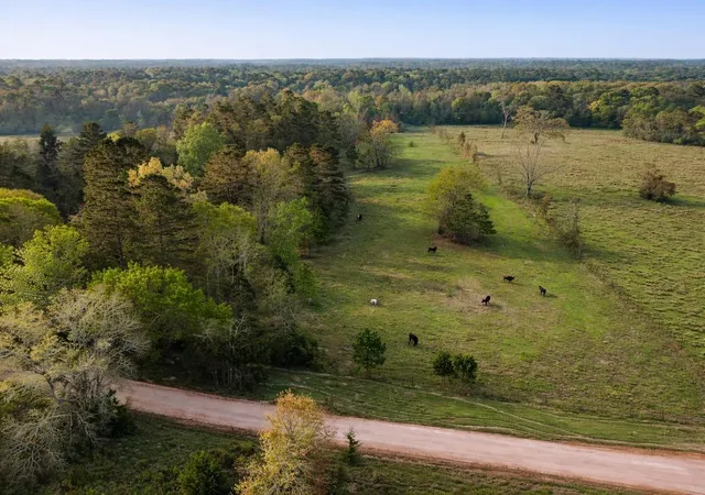 5th image of Tbd Denson Allen Rd, Coldspring, TX 77331 | MLS# 2844404