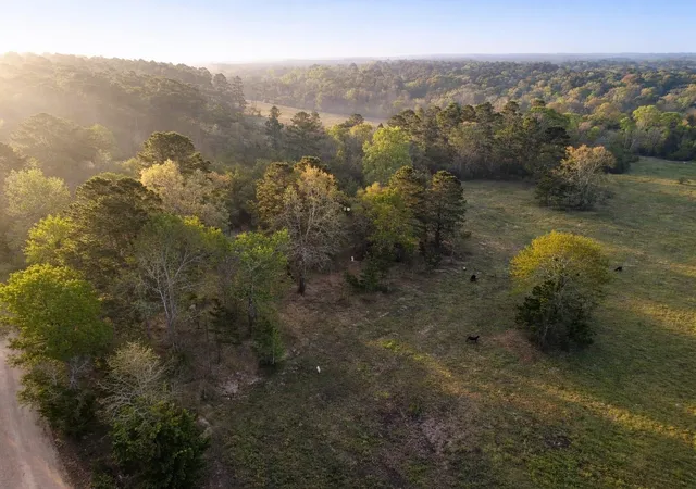7th image of Tbd Denson Allen Rd, Coldspring, TX 77331 | MLS# 2844404