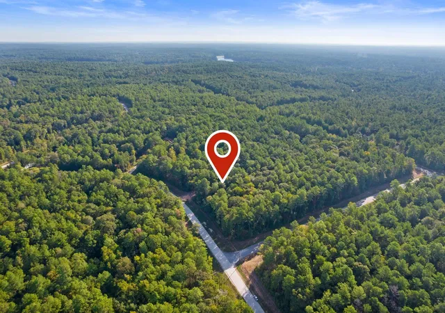 Photo 3 of Land for sale at 244 Remington Rd, Huntsville, TX 77340 | MLS# 27007864 | Listing updated on 2026-05-28