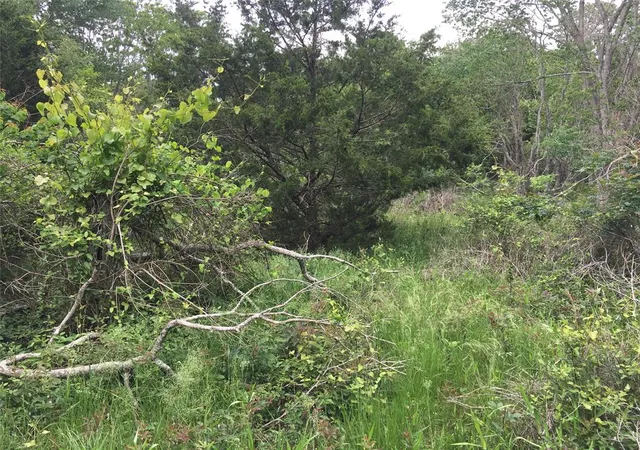 1st image of 0 Donoho St, Hempstead, TX 77445 | MLS# 52041260