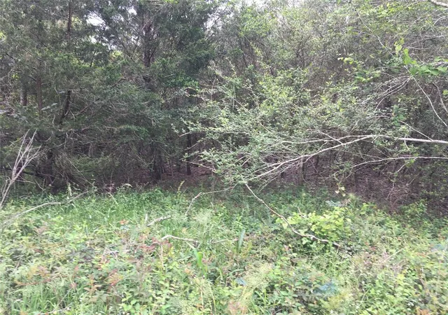 2nd image of 0 Donoho St, Hempstead, TX 77445 | MLS# 52041260