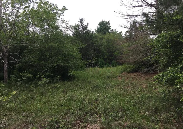 Photo 3 of Land for sale at 0 Donoho St, Hempstead, TX 77445 | MLS# 52041260 | Listing updated on 2026-06-14