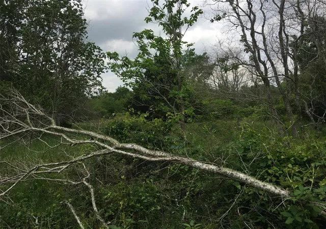 Photo 3 of Land for sale at 0 Donoho St, Hempstead, TX 77445 | MLS# 52041260 | Listing updated on 2026-06-14