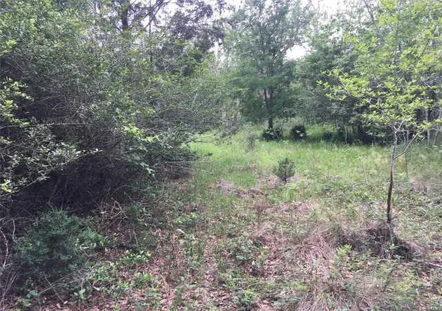 Photo 4 of Land for sale at 0 Donoho St, Hempstead, TX 77445 | MLS# 52041260 | Listing updated on 2026-06-14