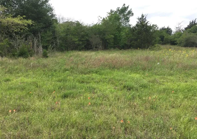 7th image of 0 Donoho St, Hempstead, TX 77445 | MLS# 52041260