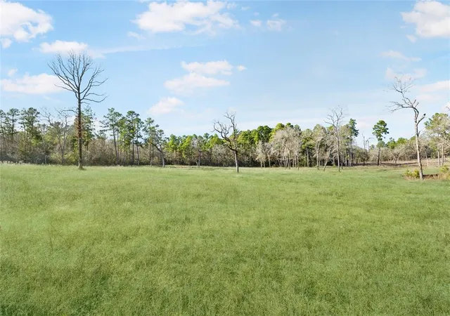 5th image of 00 Westview Dr, Huntsville, TX 77320 | MLS# 97742558