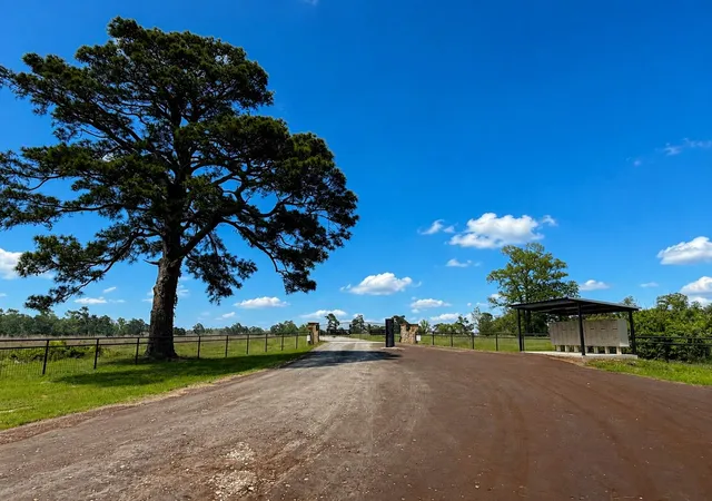 Homes for sale in Centerville, TX | Lot 14 Cr 114, Centerville, TX 75833 | MLS# 35054064