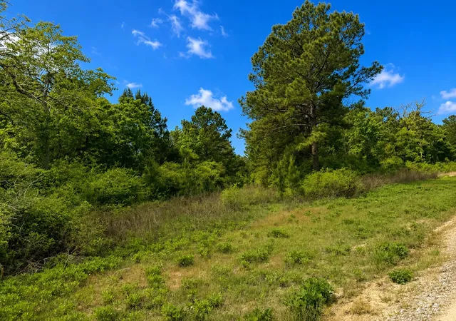 Photo 3 of Land for sale at Lot 14 Cr 114, Centerville, TX 75833 | MLS# 35054064 | Listing updated on 2026-07-12