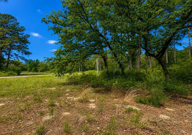 Photo 3 of Land for sale at Lot 14 Cr 114, Centerville, TX 75833 | MLS# 35054064 | Listing updated on 2026-07-12