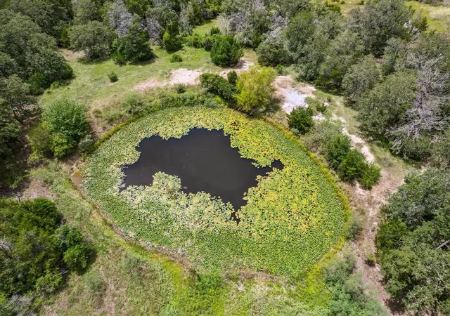 Photo 3 of Land for sale at 1434 County Rd 139, Giddings, TX 78942 | MLS# 33598666 | Listing updated on 2026-09-04