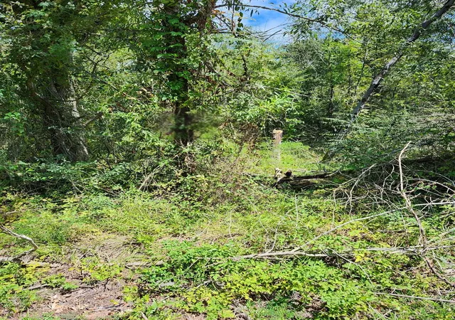 Photo 1 of Land for sale at 112 Brazil Blvd, Huntsville, TX 77320 | MLS# 21977109 | Listing updated on 2026-03-30