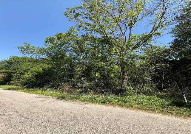 Photo 2 of Land for sale at 112 Brazil Blvd, Huntsville, TX 77320 | MLS# 21977109 | Listing updated on 2026-03-30