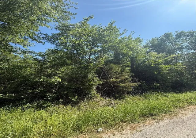 Photo 4 of Land for sale at 112 Brazil Blvd, Huntsville, TX 77320 | MLS# 21977109 | Listing updated on 2026-03-30