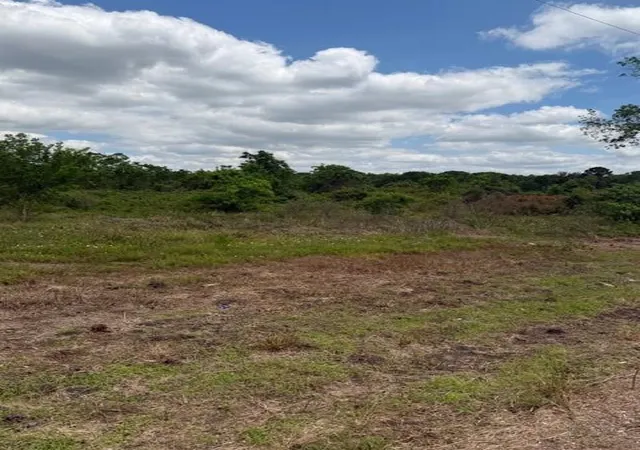 2nd image of 1711 County Road 773, Angleton, TX 77515 | MLS# 58937547